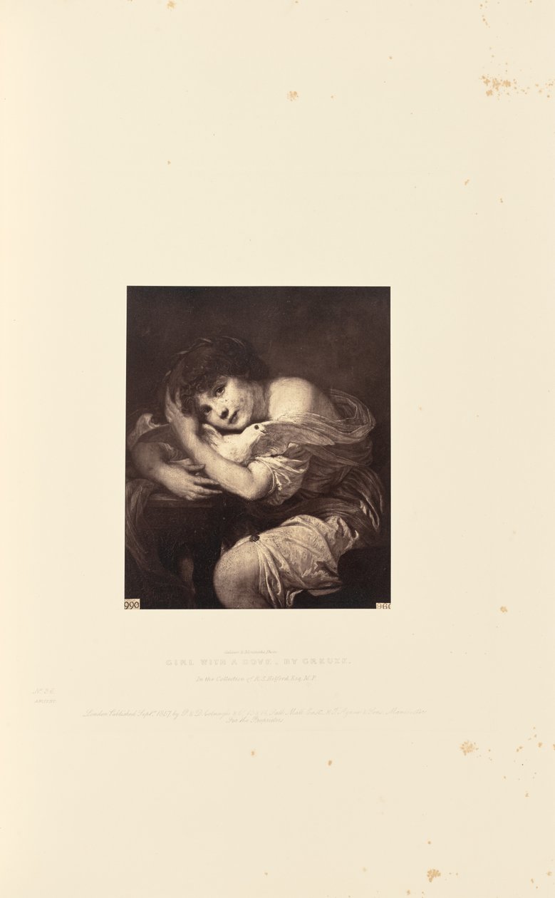 Lány egy galambdal, Greuze-tól alkotó: Caldesi and Montecchi
