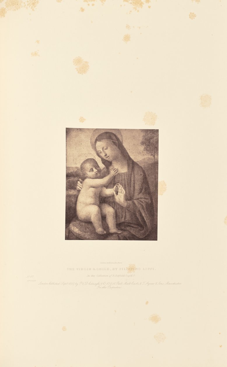 A Szűzanya és gyermeke, Filippino Lippi alkotása alkotó: Caldesi and Montecchi