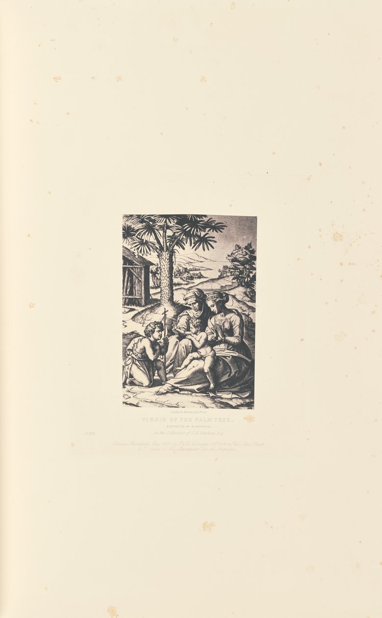 Pálmafás Szűzanya, M. Antonio metszete alkotó: Caldesi and Montecchi
