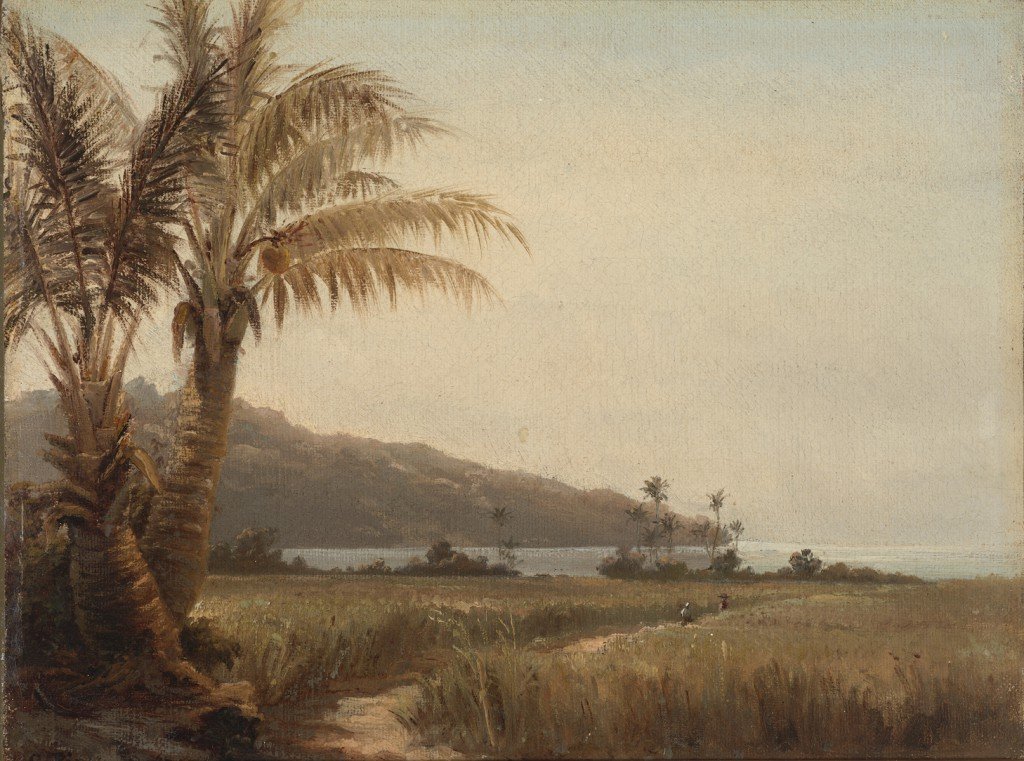 Kókuszpálma a tenger mellett alkotó: Camille Jacob Pissarro
