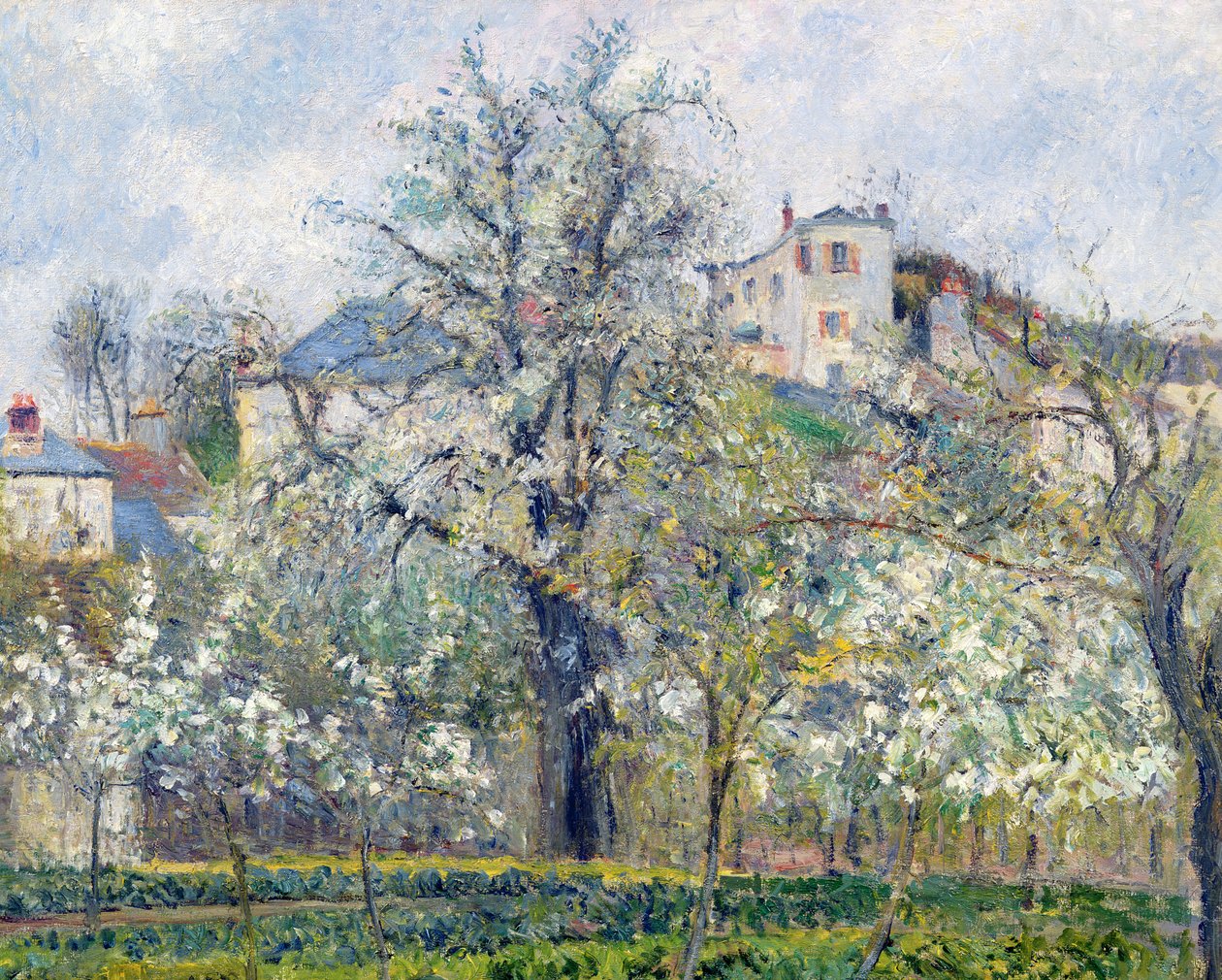 A zöldséges kert fákkal Virágzásban, Spring, Pontoise, 1877 alkotó: Camille Jacob Pissarro