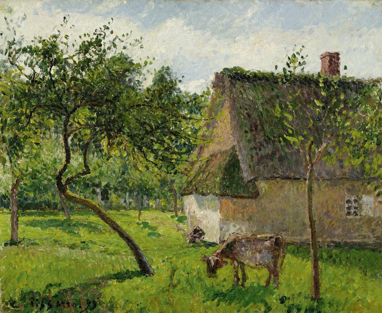 Gyümölcsös Varengeville -ben tehénnel alkotó: Camille Jacob Pissarro