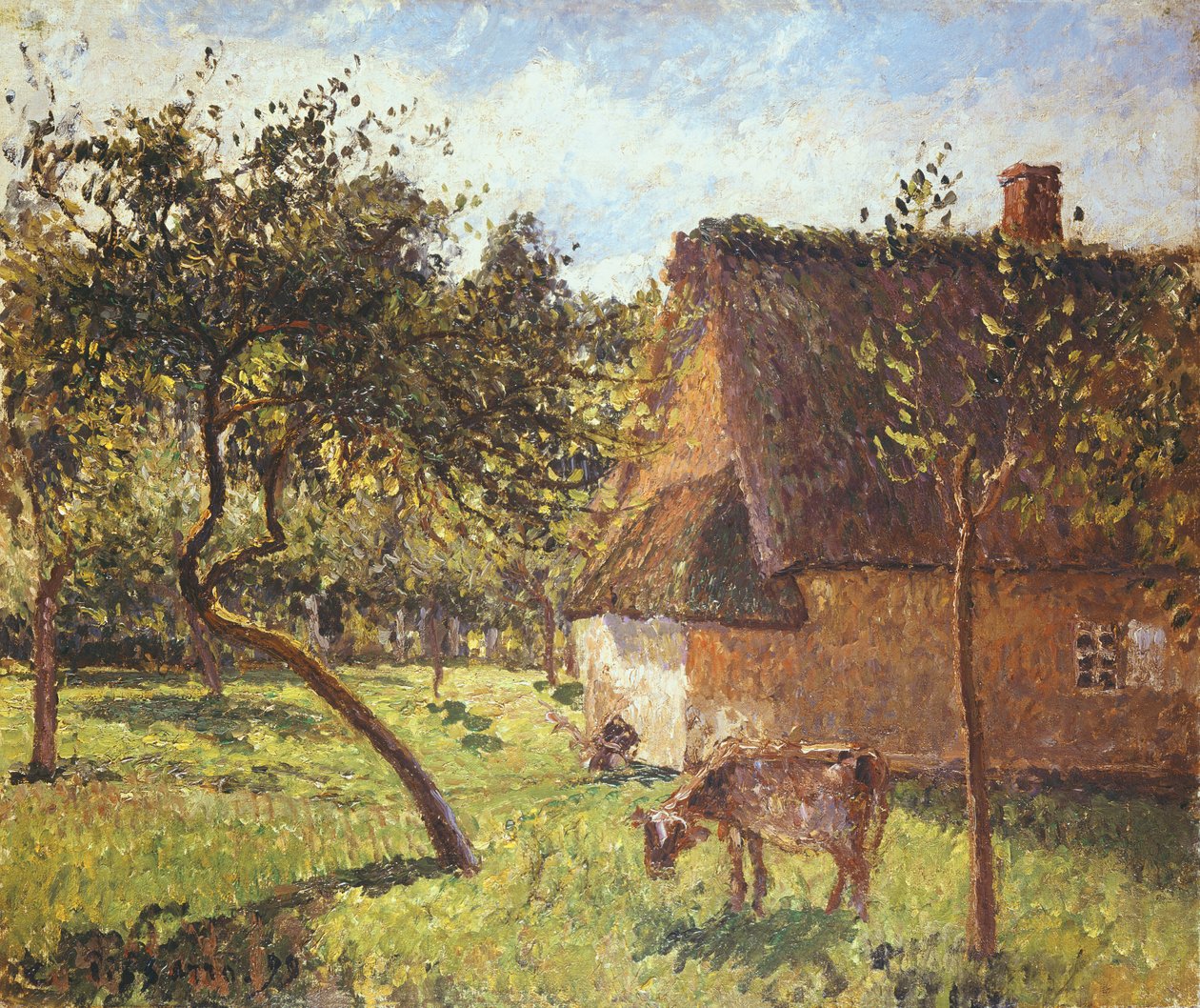 Varengeville-i mező, 1899 alkotó: Camille Jacob Pissarro