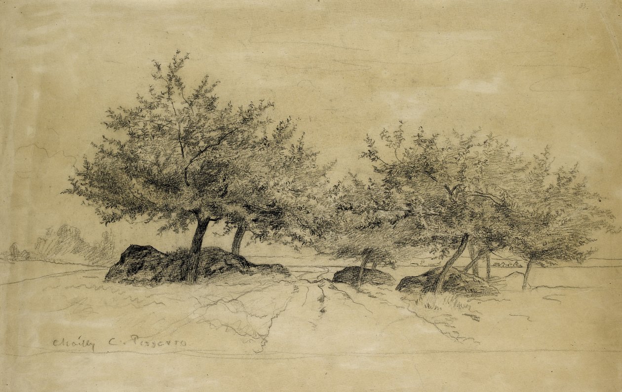 Rektor: Chailly, c. 1859 (szén bézs papíron) alkotó: Camille Jacob Pissarro