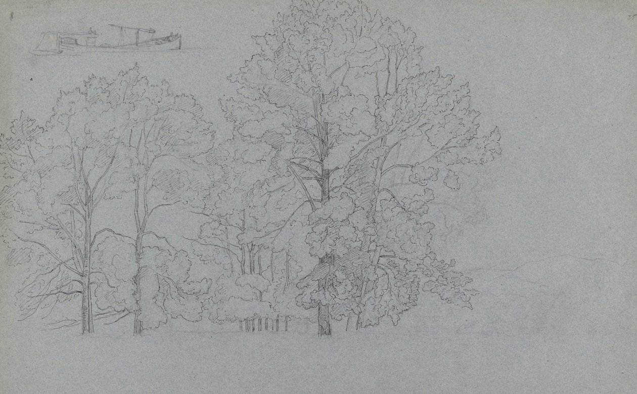 Fák tanulmányozása, egy bárka enyhe tanulmányozásával, 1859 (toll és sötét tinta grafit fölött, szürkéskék papíron) alkotó: Camille Jacob Pissarro