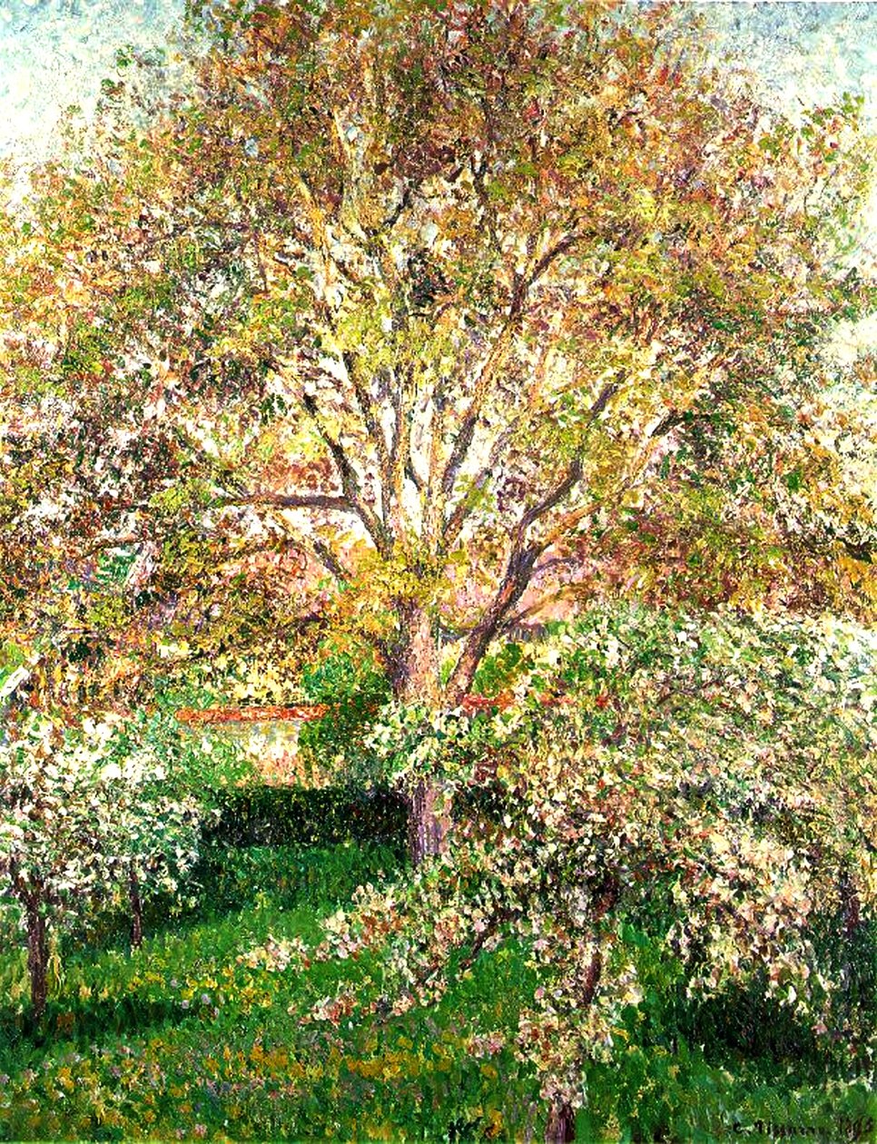 Virágzó fák Eragnyban, 1895 alkotó: Camille Jacob Pissarro