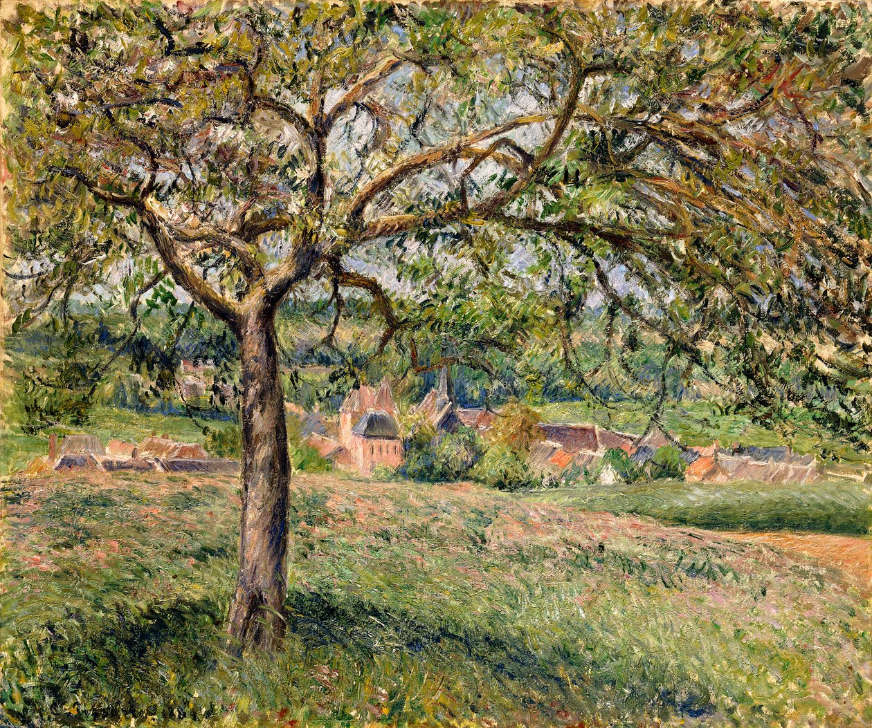 Almafa Eragnyban, 1884 alkotó: Camille Jacob Pissarro