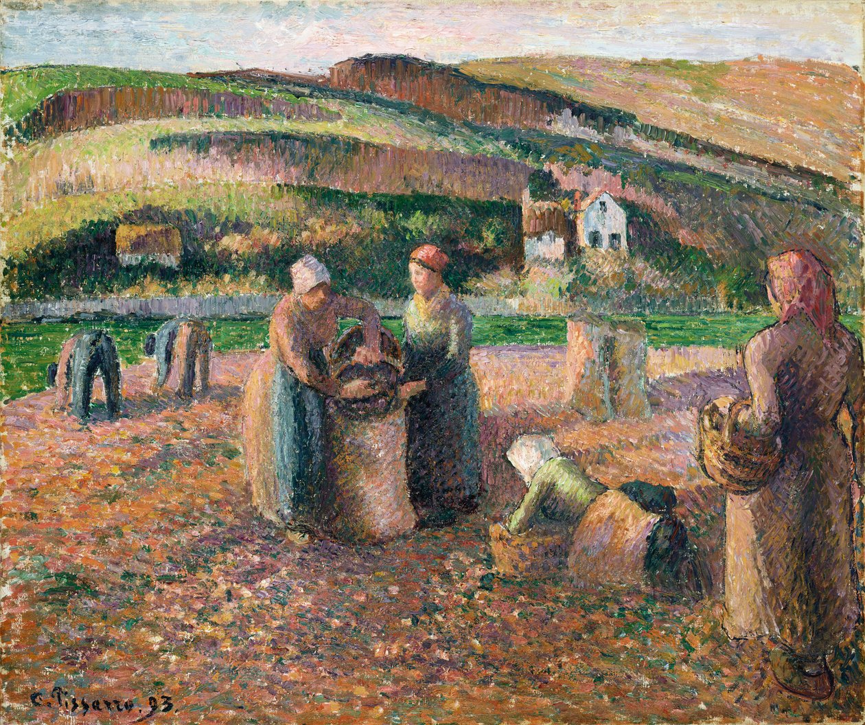 Burgonyaszedés, 1893 alkotó: Camille Jacob Pissarro