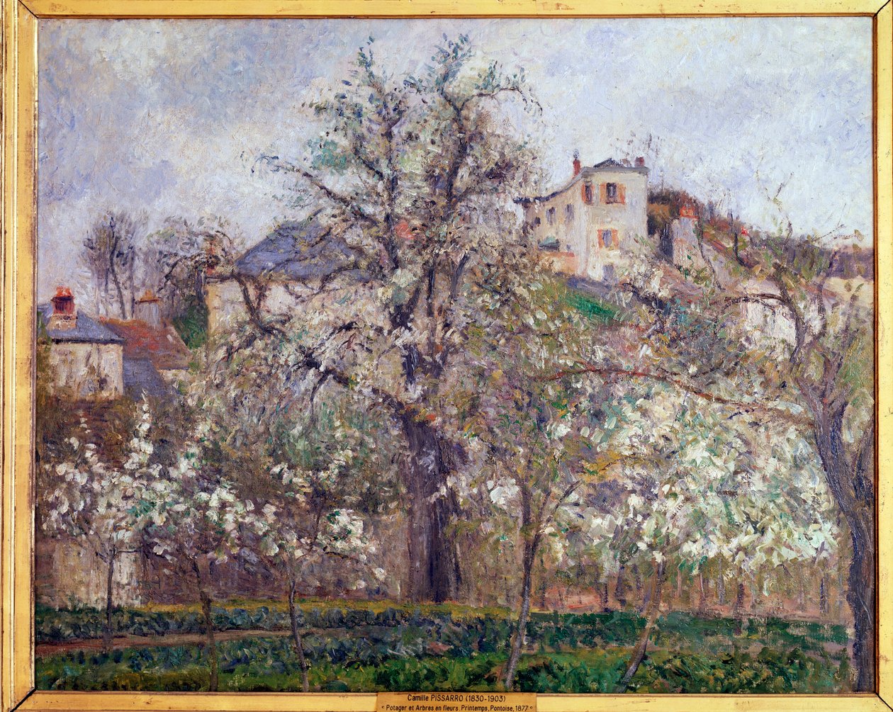 Tavaszi, szilvavirágok Pontoise-ban - olaj, vászon alkotó: Camille Jacob Pissarro