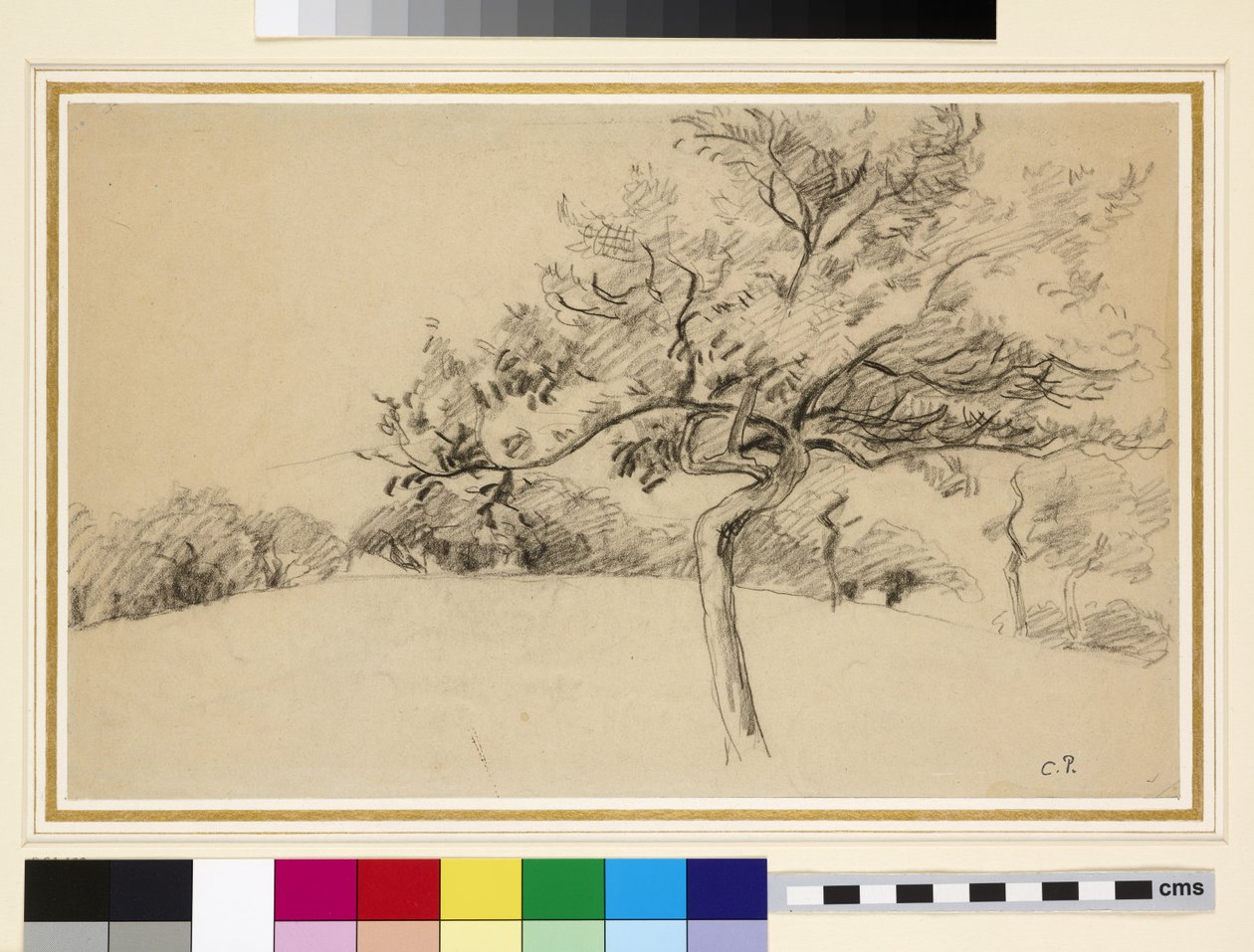 Az Eragny-sur-Epte-i gyümölcsöskert tanulmányozása egy fával az előtérben (fekete kréta papíron) alkotó: Camille Jacob Pissarro