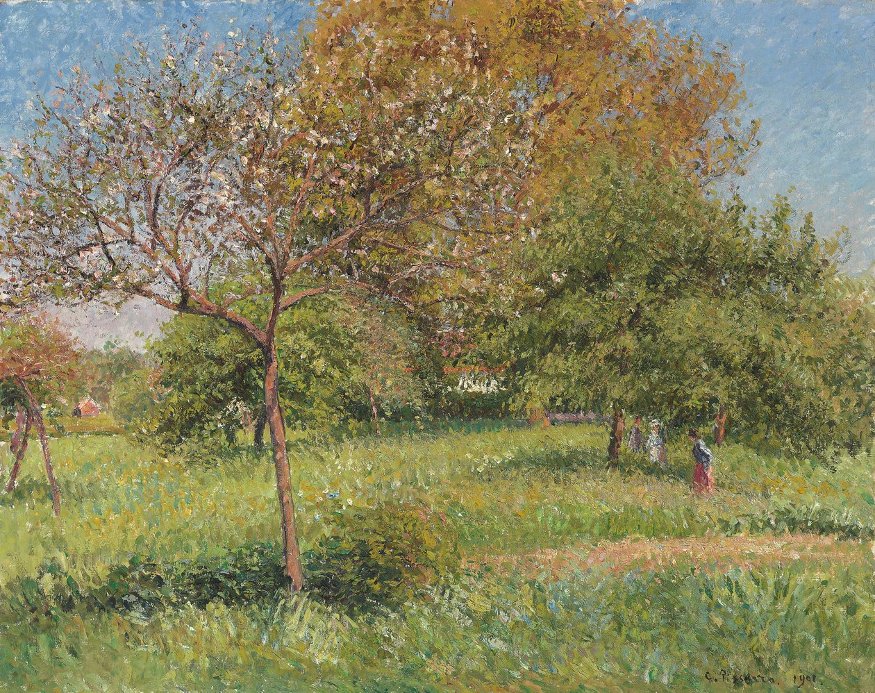 A nagy diófa, Reggel, Eragny; Le Grand Noyer, Reggel, Eragny, 1901 alkotó: Camille Jacob Pissarro