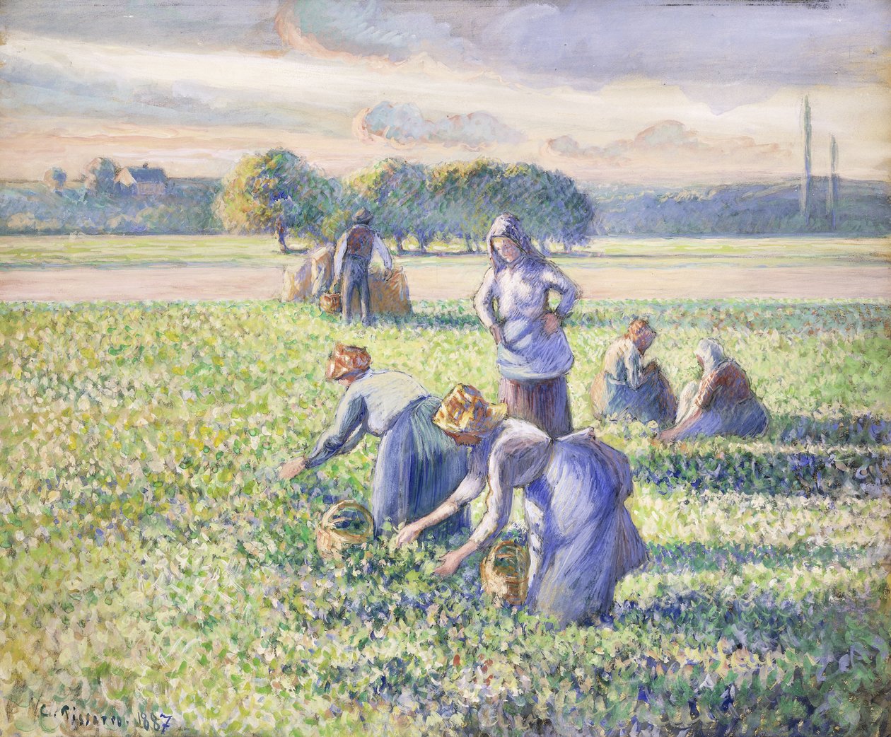 Borsószüret, 1887 alkotó: Camille Jacob Pissarro
