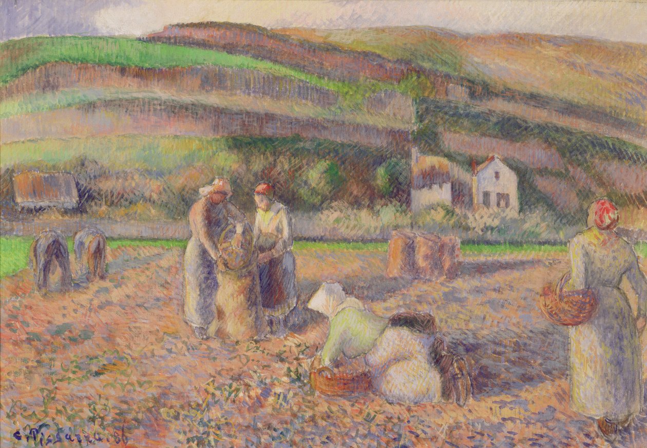 A burgonyaszüret, 1886 alkotó: Camille Jacob Pissarro