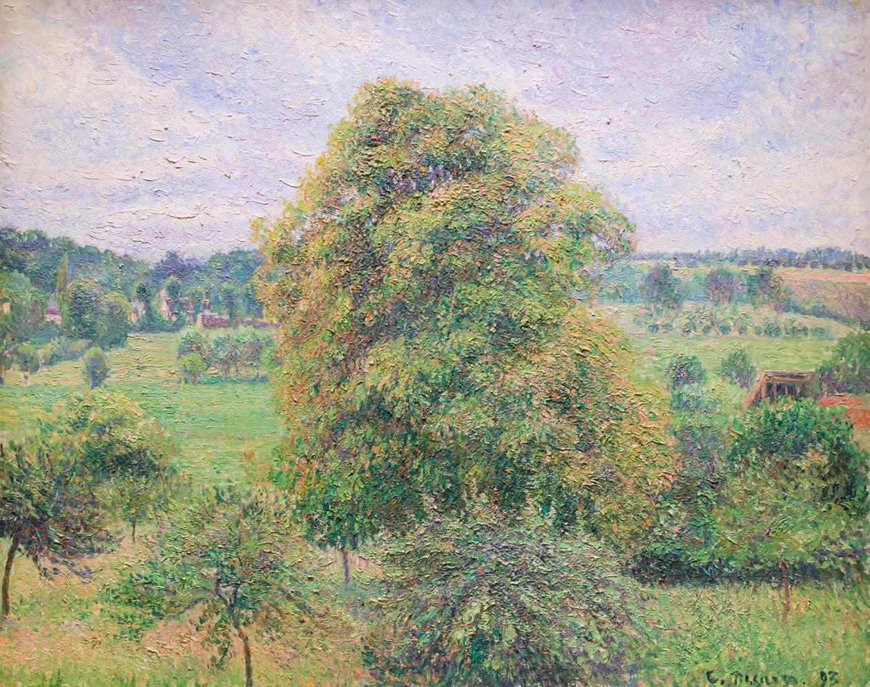 Nagy diófa Eragnyban alkotó: Camille Pissarro