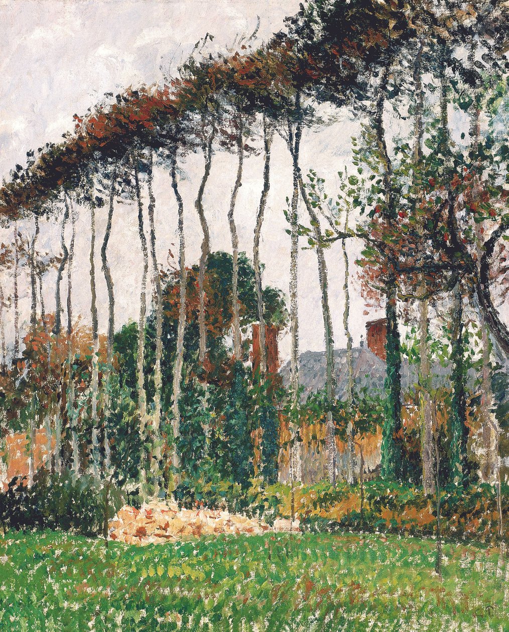 Francia: Les grands hêtres à Varengeville
Német: A nagy rézbükkösök Varengeville-ben alkotó: Camille Pissarro