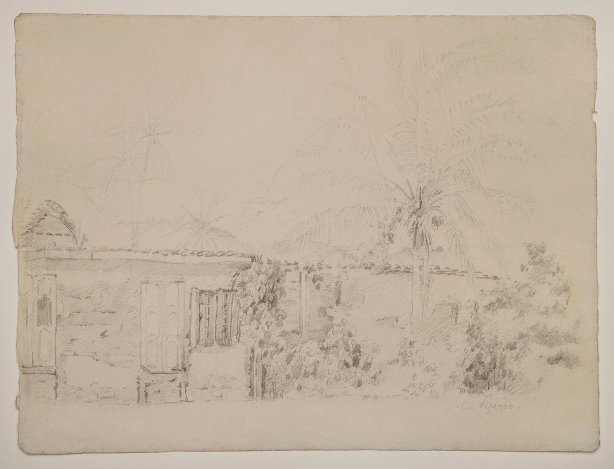 Házak és pálmafák alkotó: Camille Pissarro