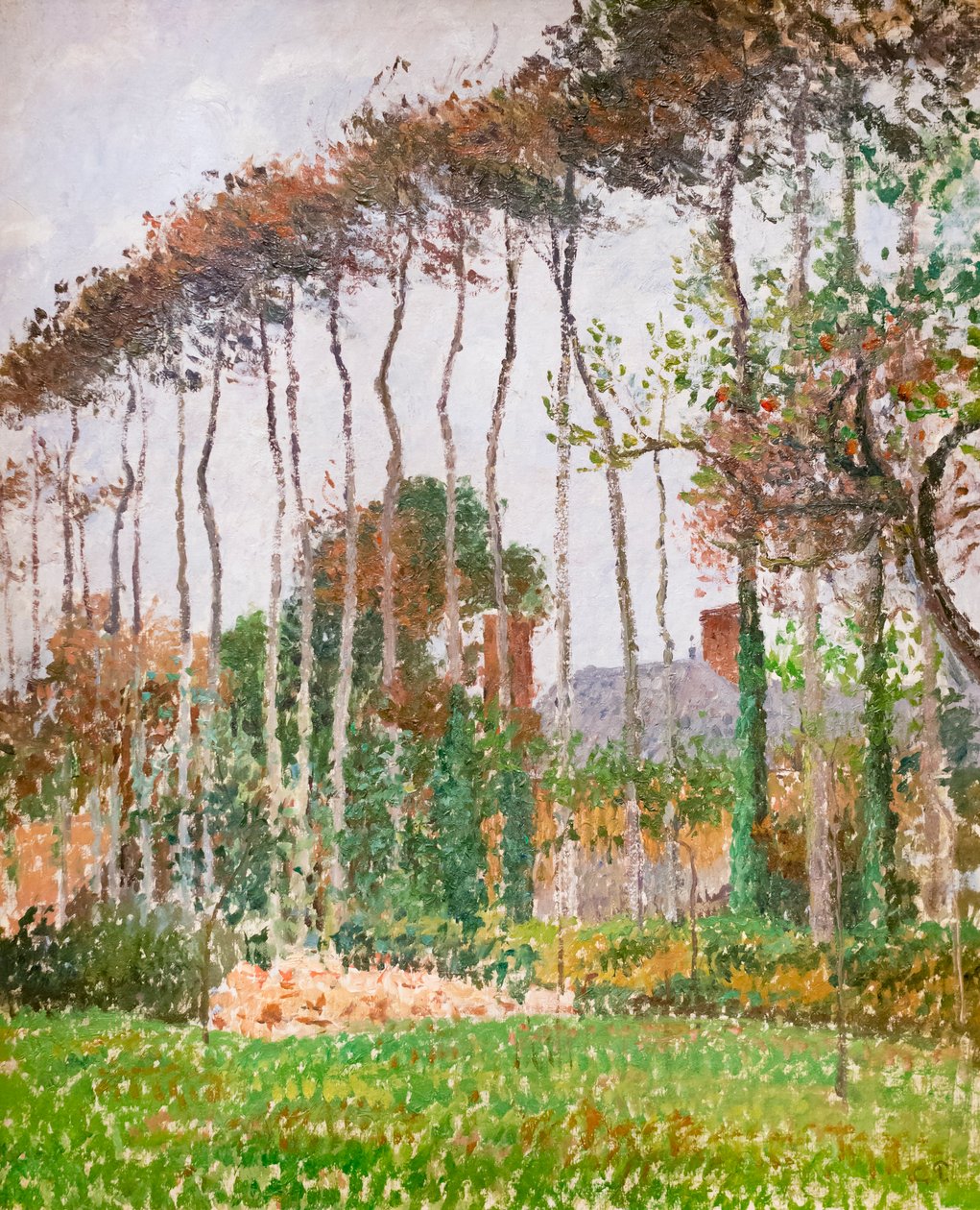 Varengeville-i táj, c. 1889 (olaj, vászon) alkotó: Camille Pissarro