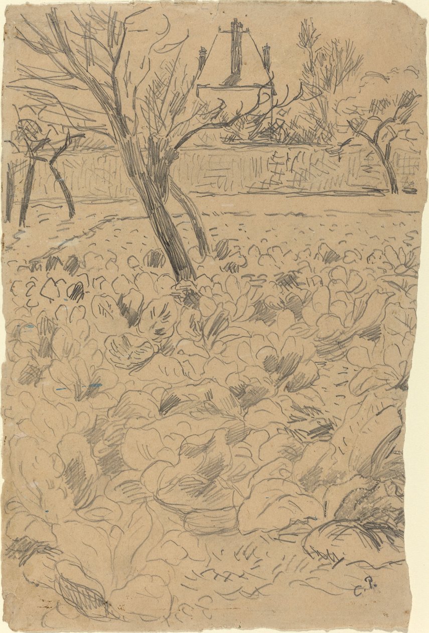 A káposztaföld, c. 1880. alkotó: Camille Pissarro