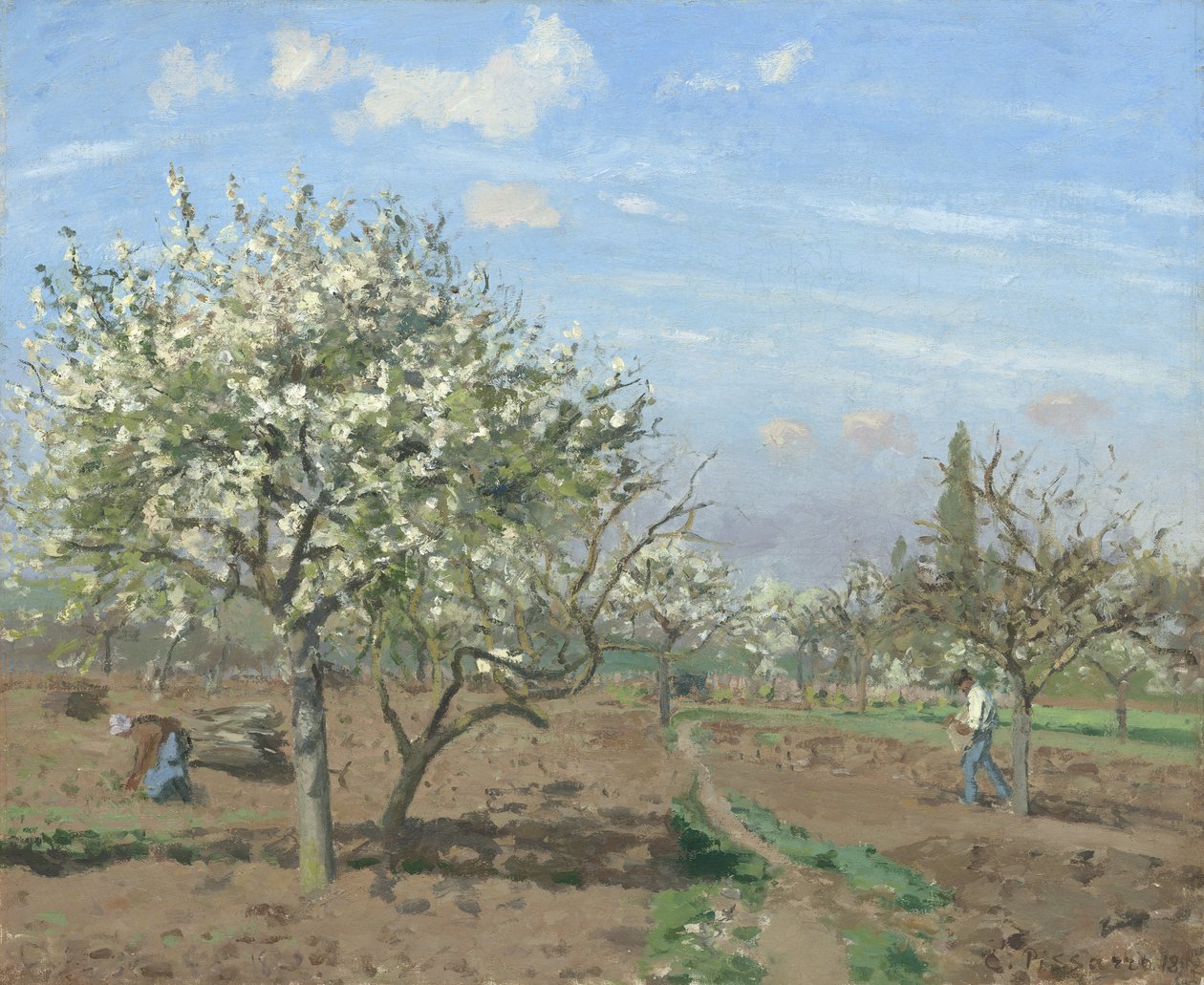 Gyümölcsöskert Bloomban, Louveciennes-ben alkotó: Camille Jacob Pissarro