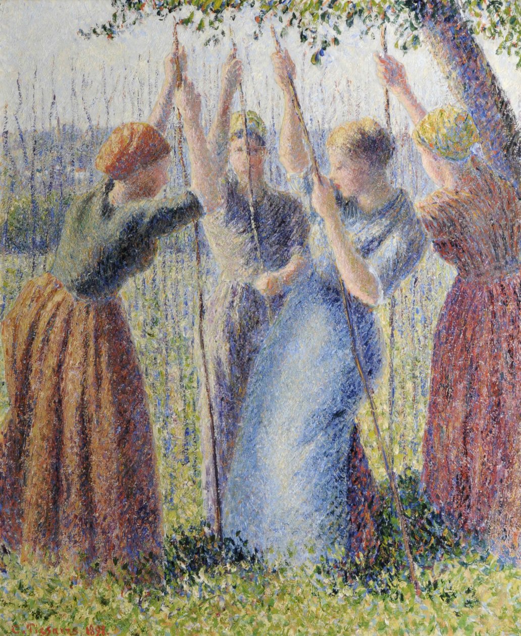 Parasztasszonyok ültetnek kosokat alkotó: Camille Pissarro
