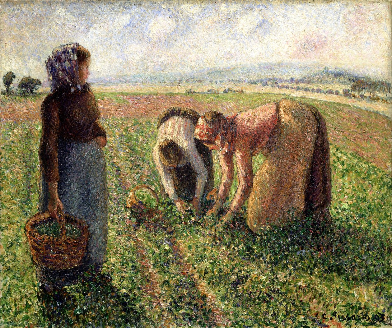Borsószüret, Eragny, 1893. alkotó: Camille Jacob Pissarro