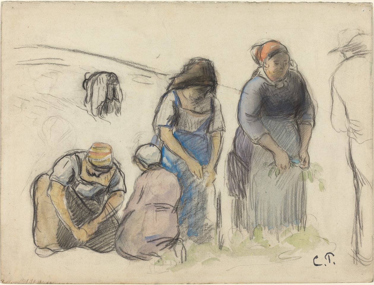 Borsóbetakarítók [recto] alkotó: Camille Pissarro