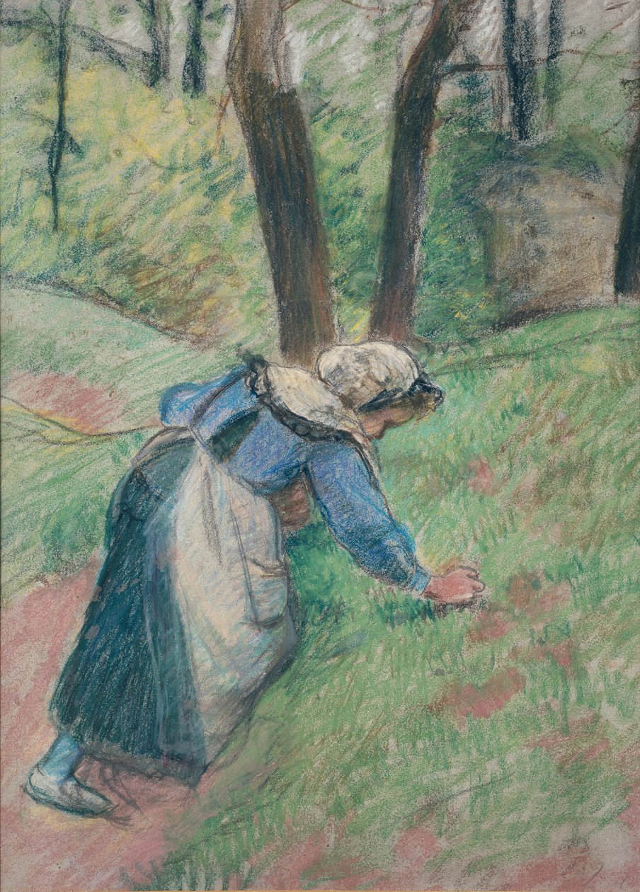 Fűt gyomláló parasztasszony, c1894 alkotó: Camille Pissarro