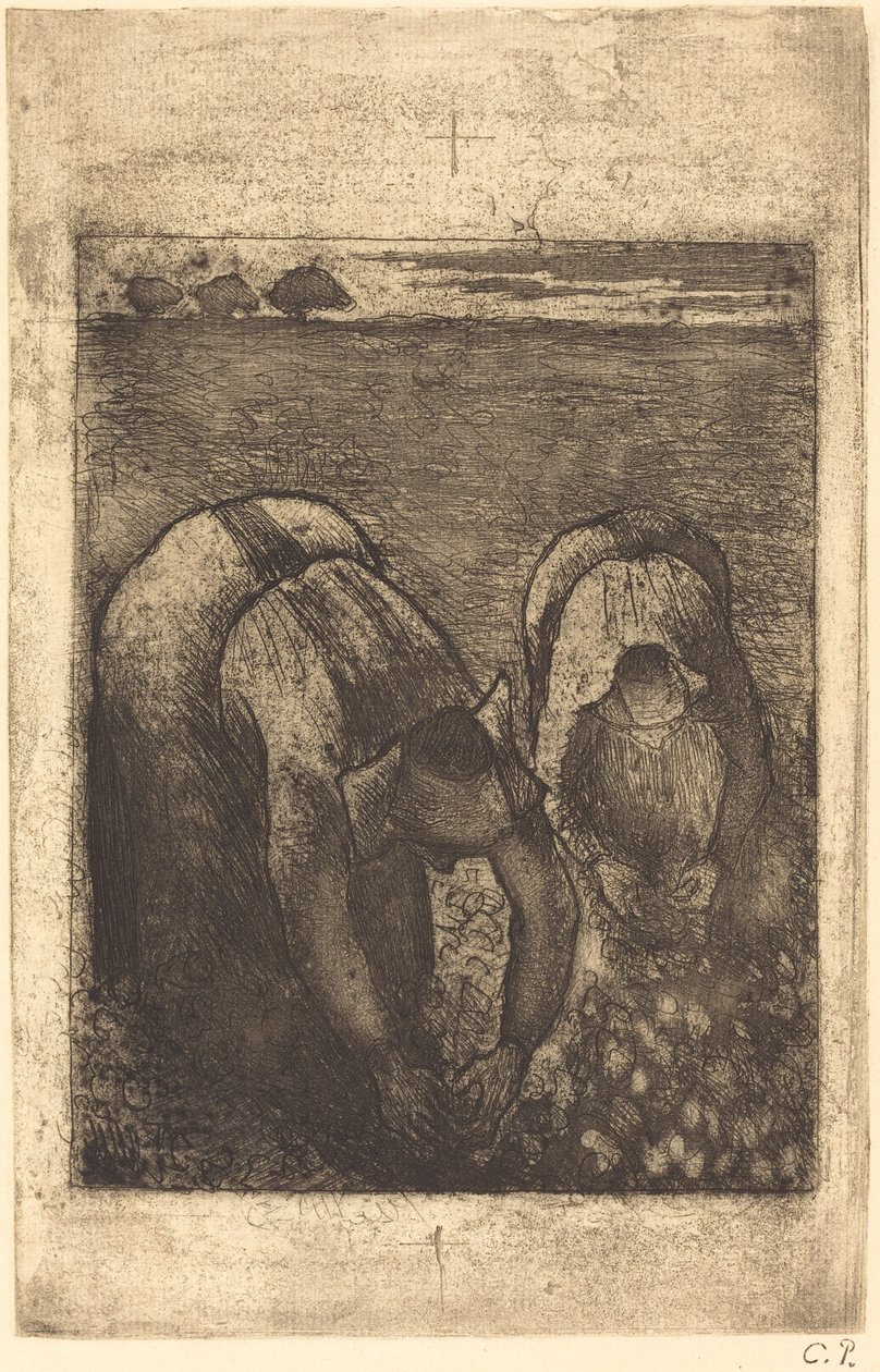 Parasztok a babföldön Parasztok a babföldön, 1891. alkotó: Camille Pissarro