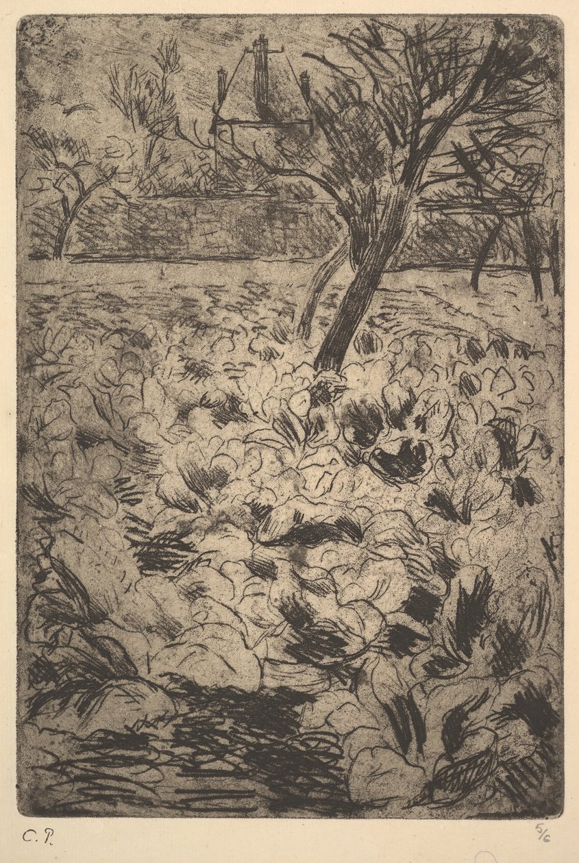 A káposztaföld, kb. 1880. alkotó: Camille Jacob Pissarro