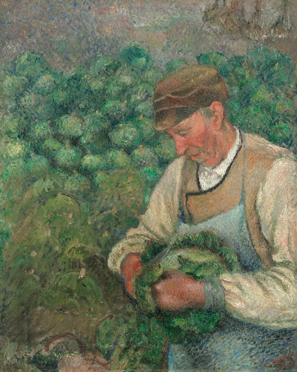 A kertész - öreg paraszt káposztával alkotó: Camille Pissarro