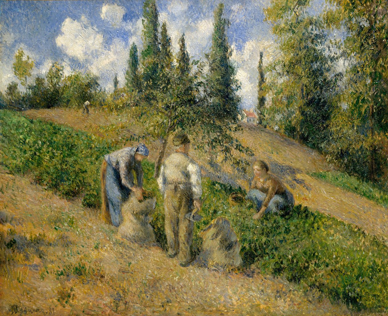 Az aratás, Pontoise alkotó: Camille Jacob Pissarro