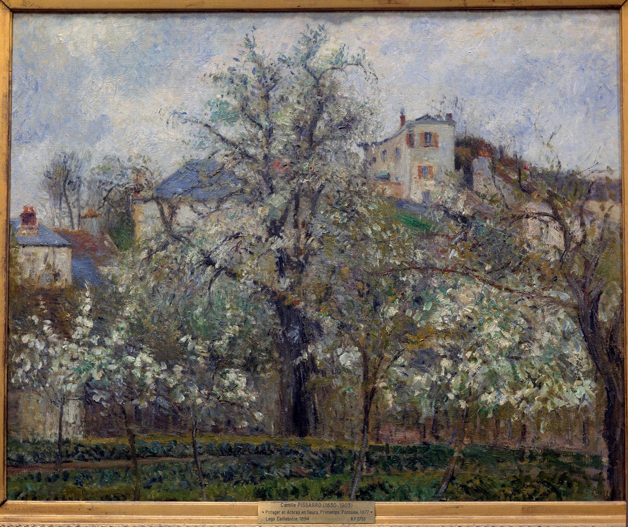 Veteményeskert és tavasszal virágzó fák Pontoise-ban (virágzó szilvafák) Camille Pissarro (1830-1903) festménye. 1877. Dim. 0,65 x 0,81 m. Párizs, Musee d