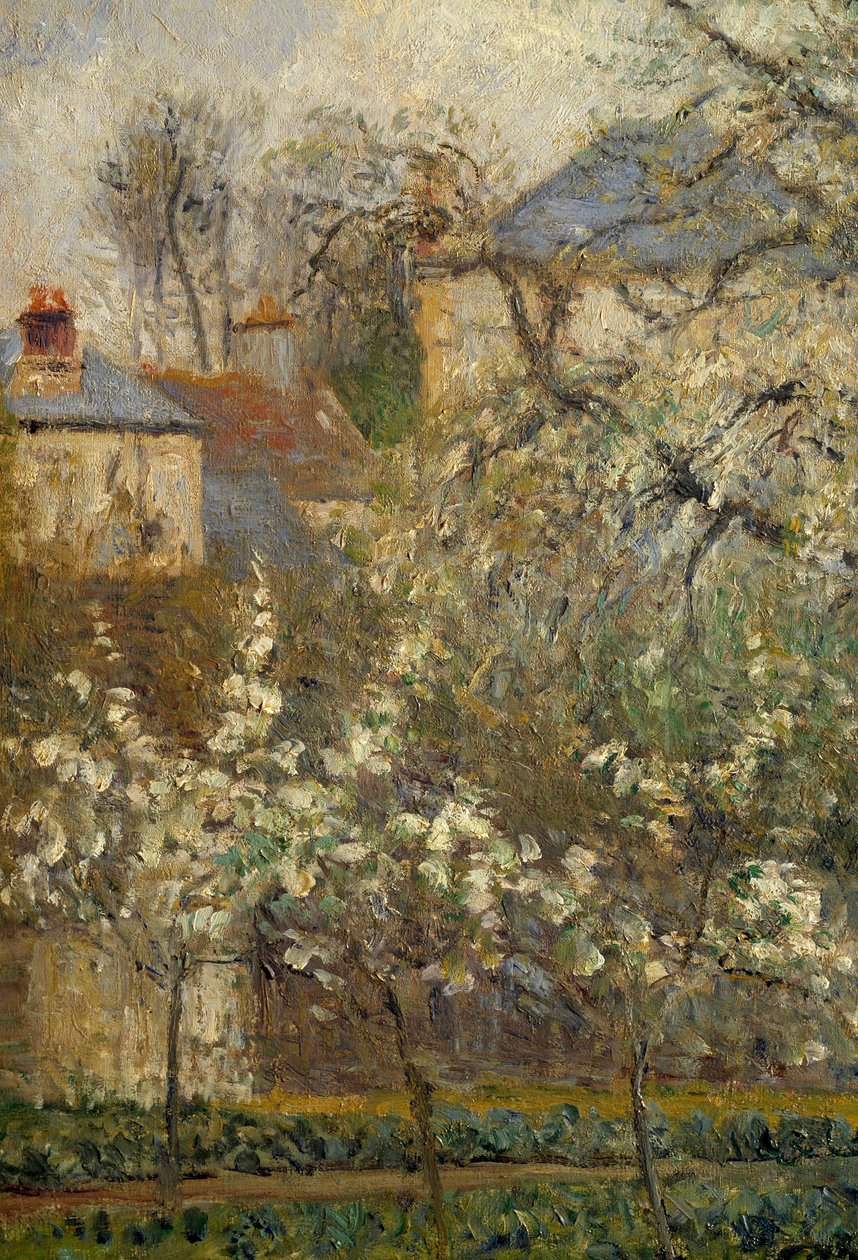 Veteményes kert és tavasszal virágzó fák Pontoise-ban alkotó: Camille Jacob Pissarro
