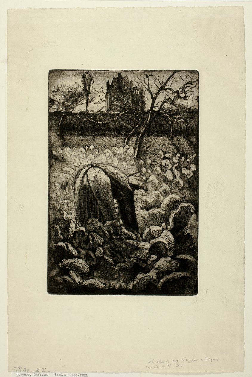 Nő a konyhakertben alkotó: Camille Pissarro