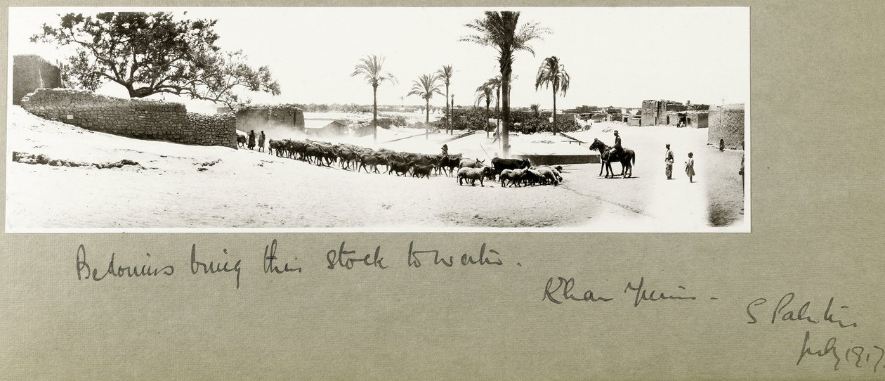 Beduinok vízhez viszik az állatokat, Khan Yunis, Dél-Palesztina, 1917. július alkotó: Capt. Arthur Rhodes