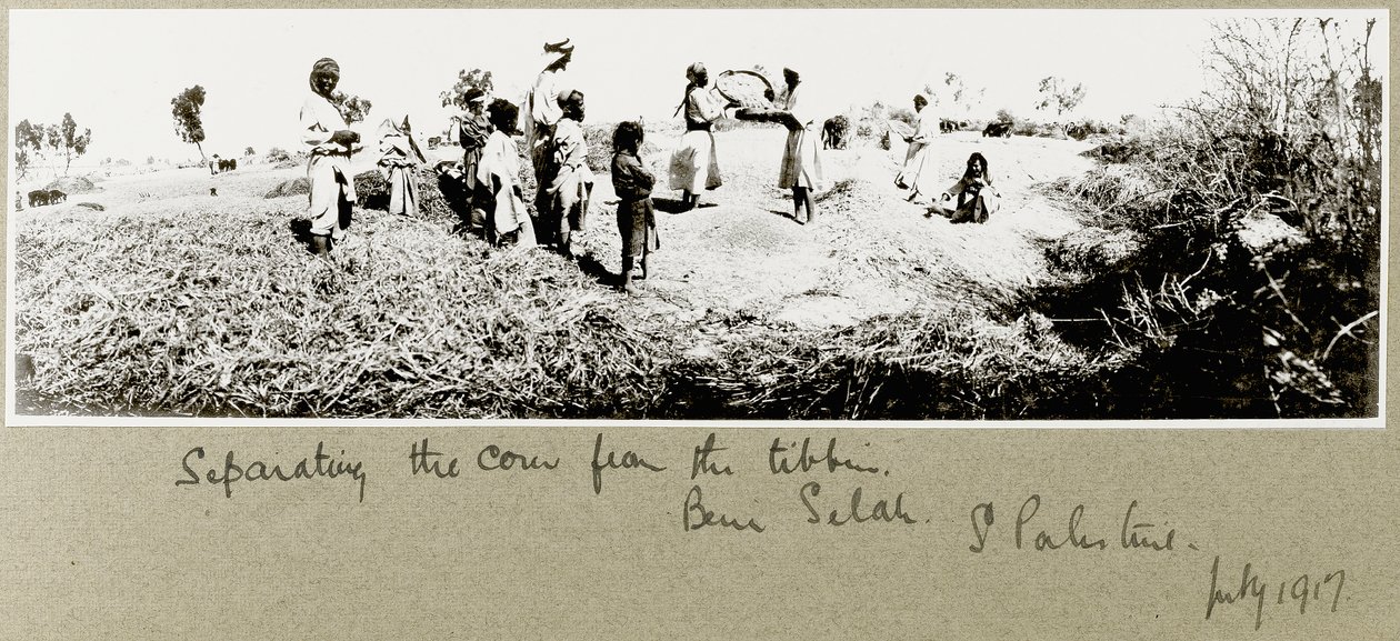 Beduinok elválasztják a kukoricát, Beni Saleh, 1917. július alkotó: Capt. Arthur Rhodes