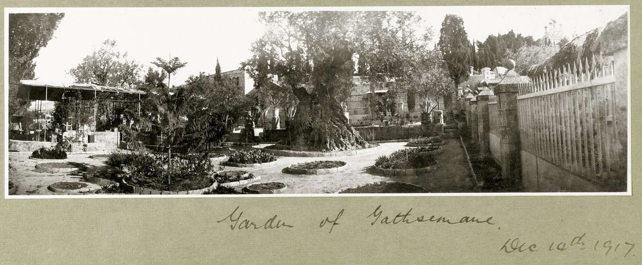 A Gecsemáné kertje, 1917. december 14. alkotó: Capt. Arthur Rhodes