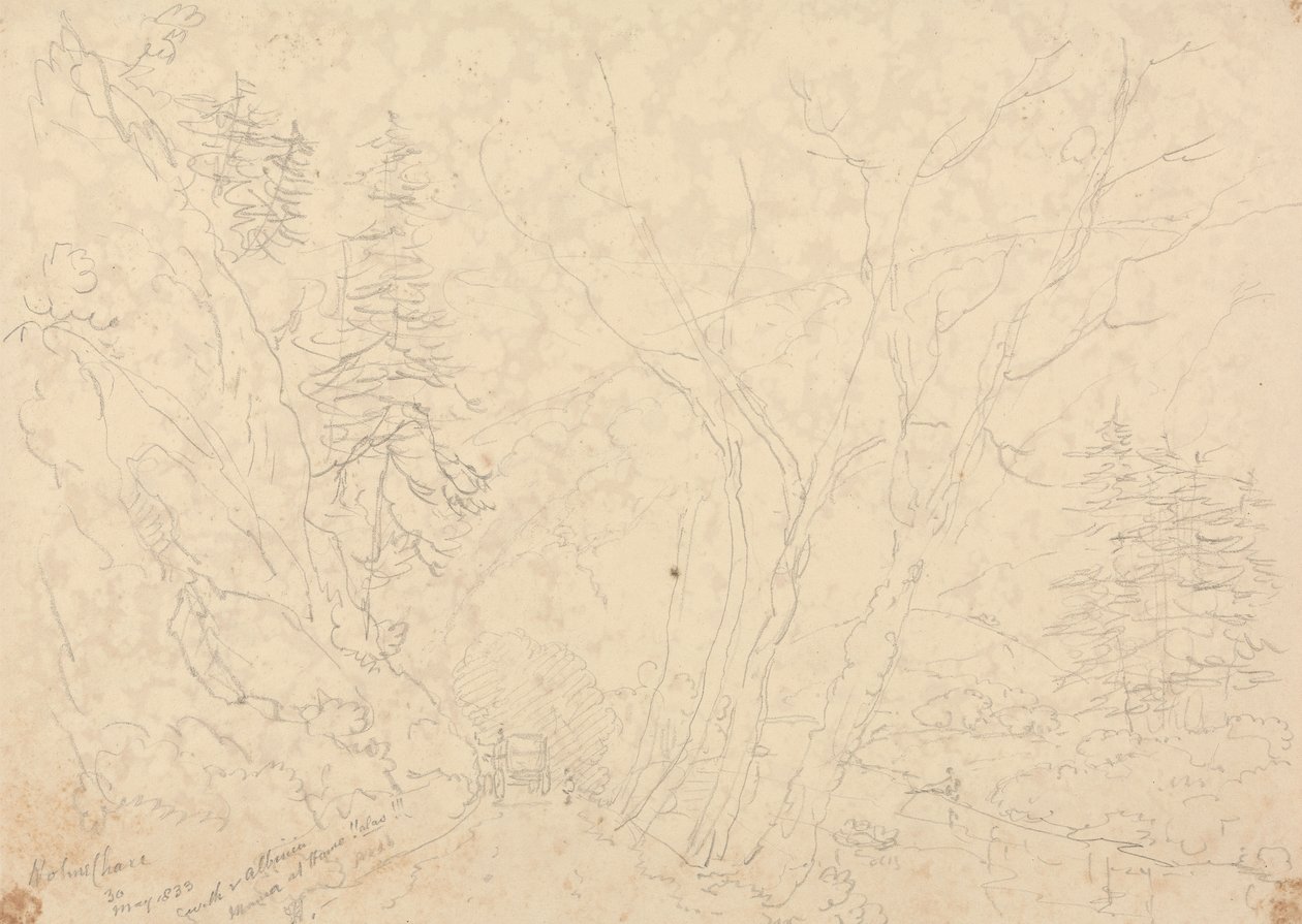 Holne Chase, 1833. május 30 alkotó: Capt. Thomas Hastings