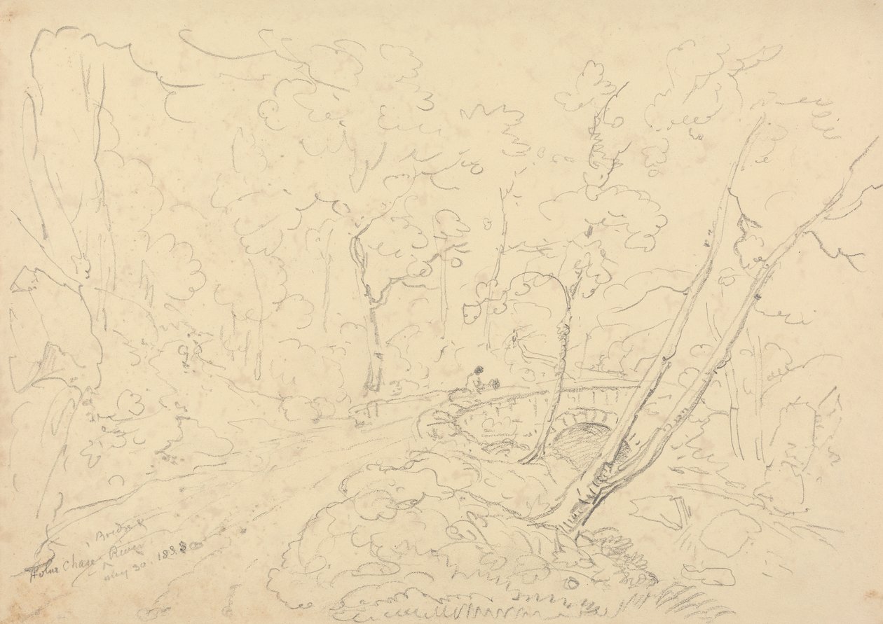 Holne Chase híd és folyó, 1833. május 30 alkotó: Capt. Thomas Hastings
