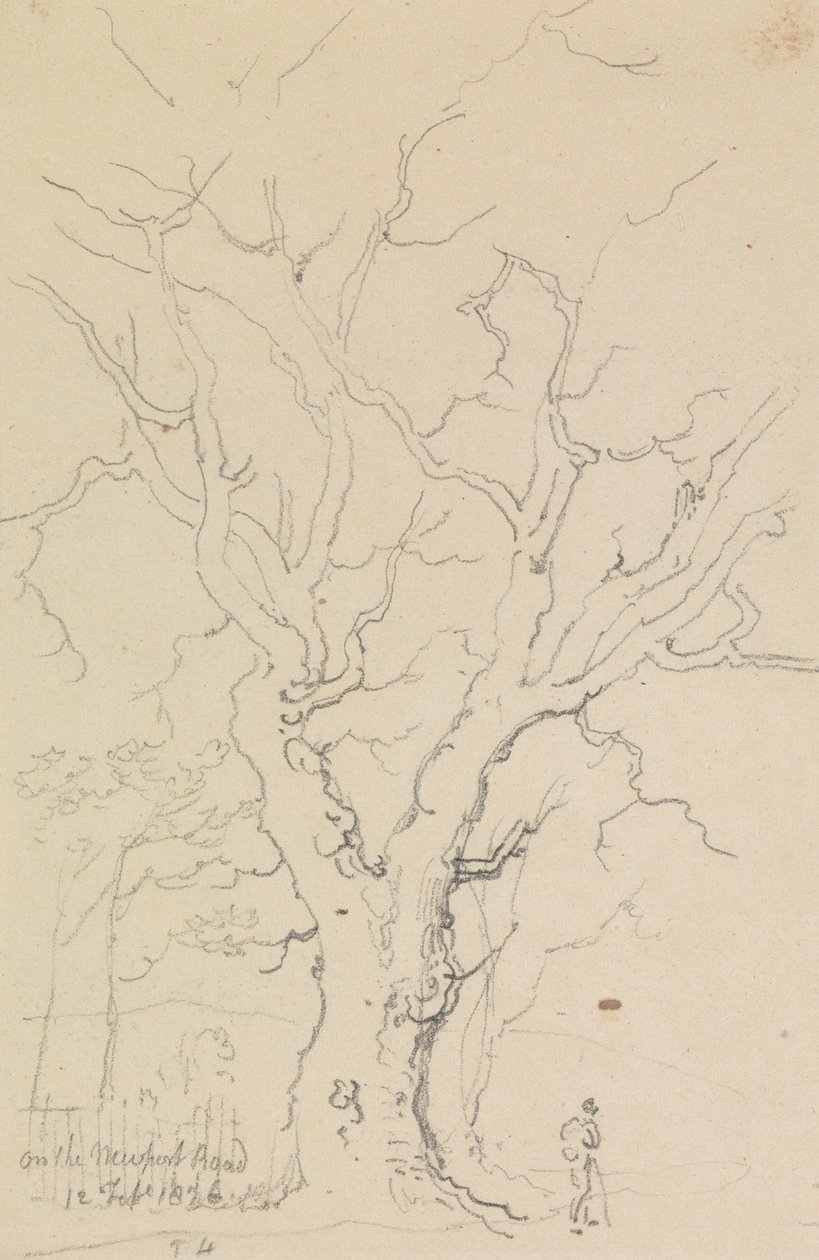A Newport Roadon, 1826. február 12-én alkotó: Capt. Thomas Hastings