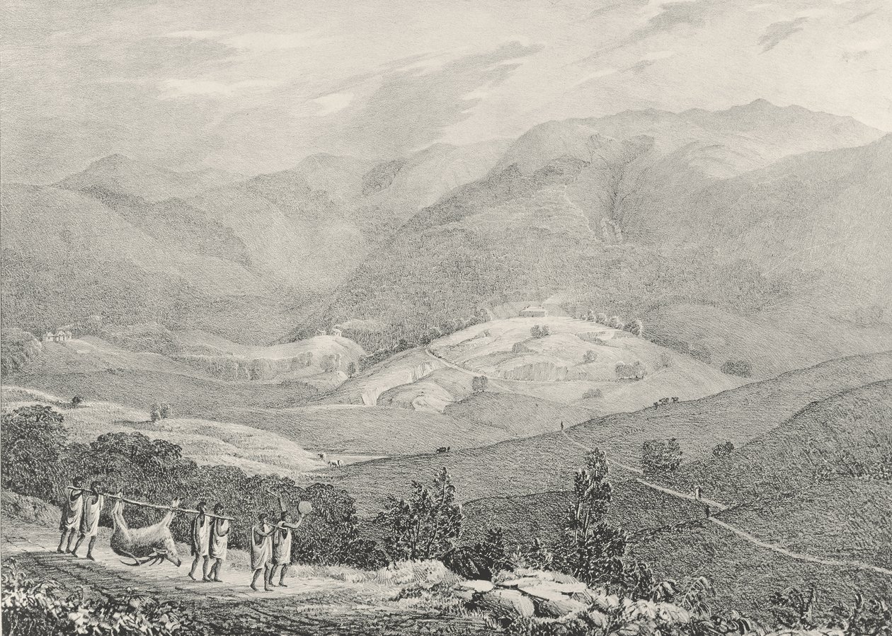 Ottacamund, View of the Great Dodabetta, Neelgherry Mountains, 4. tábla McCurdy kapitány „A Neilgherries vagy a Coimbetoor kék hegyei, Dél-India” című művéből, 1830. alkotó: Captain E. A. McCurdy