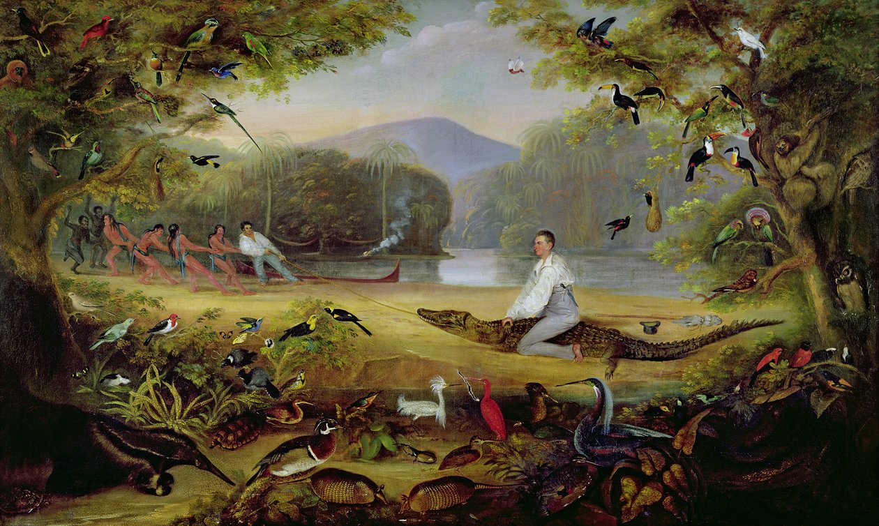 Charles Waterton elfog egy kajmánt, 1825-26 alkotó: Captain Edward Jones