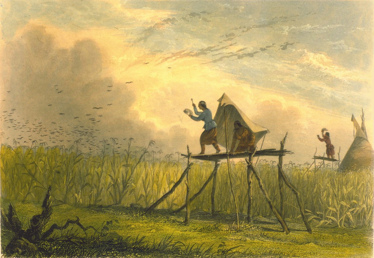 A kukoricatáblák őrzése, 1853 alkotó: Captain Seth Eastman