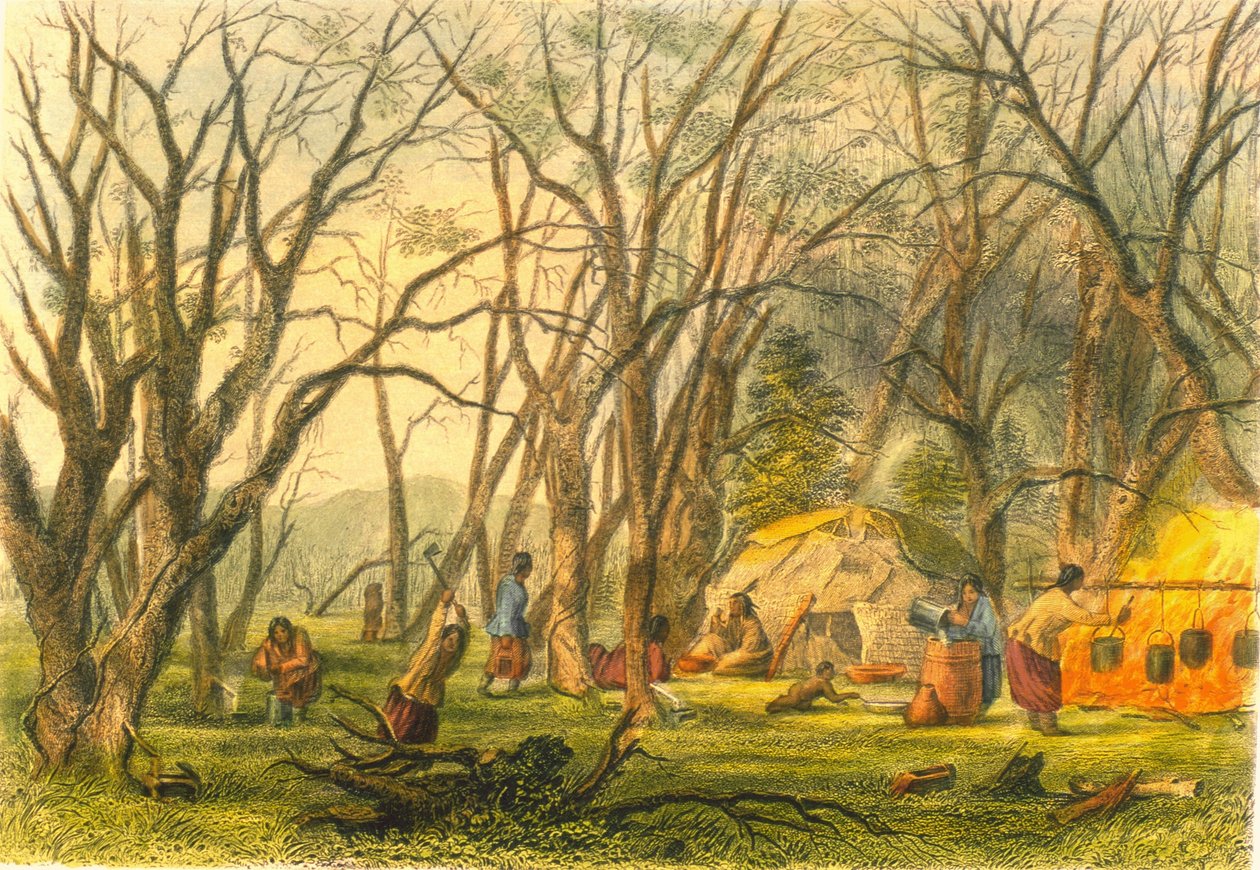 Indiai cukortábor, 1853 alkotó: Captain Seth Eastman