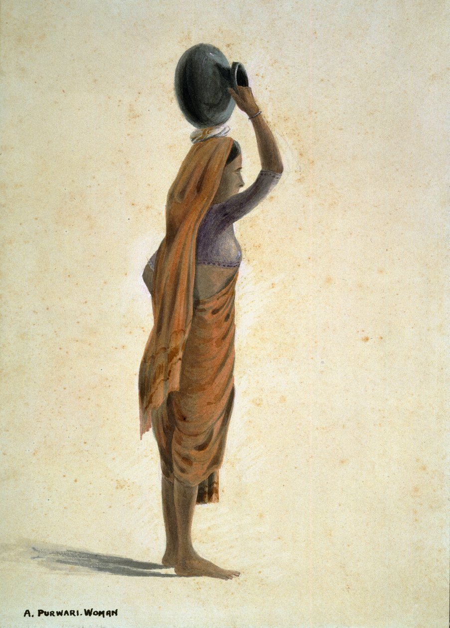Purwari nő, India alkotó: Captain Cornelius Francis James