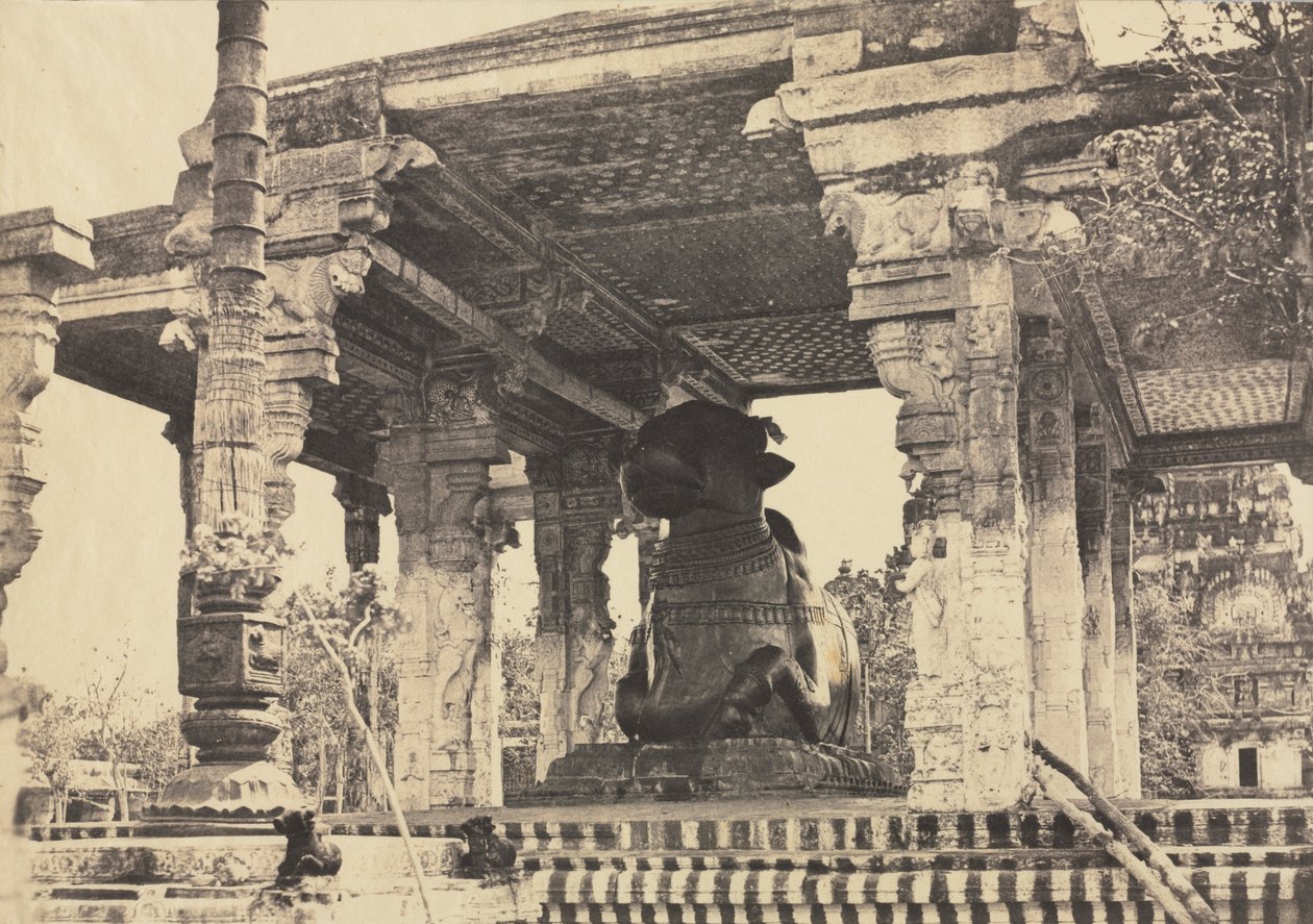 Nagy Pagoda, Nagy Bika, Elölnézet, Tanjore, India Rajarajesvara Temple, 1857. alkotó: Captain Linnaeus Tripe