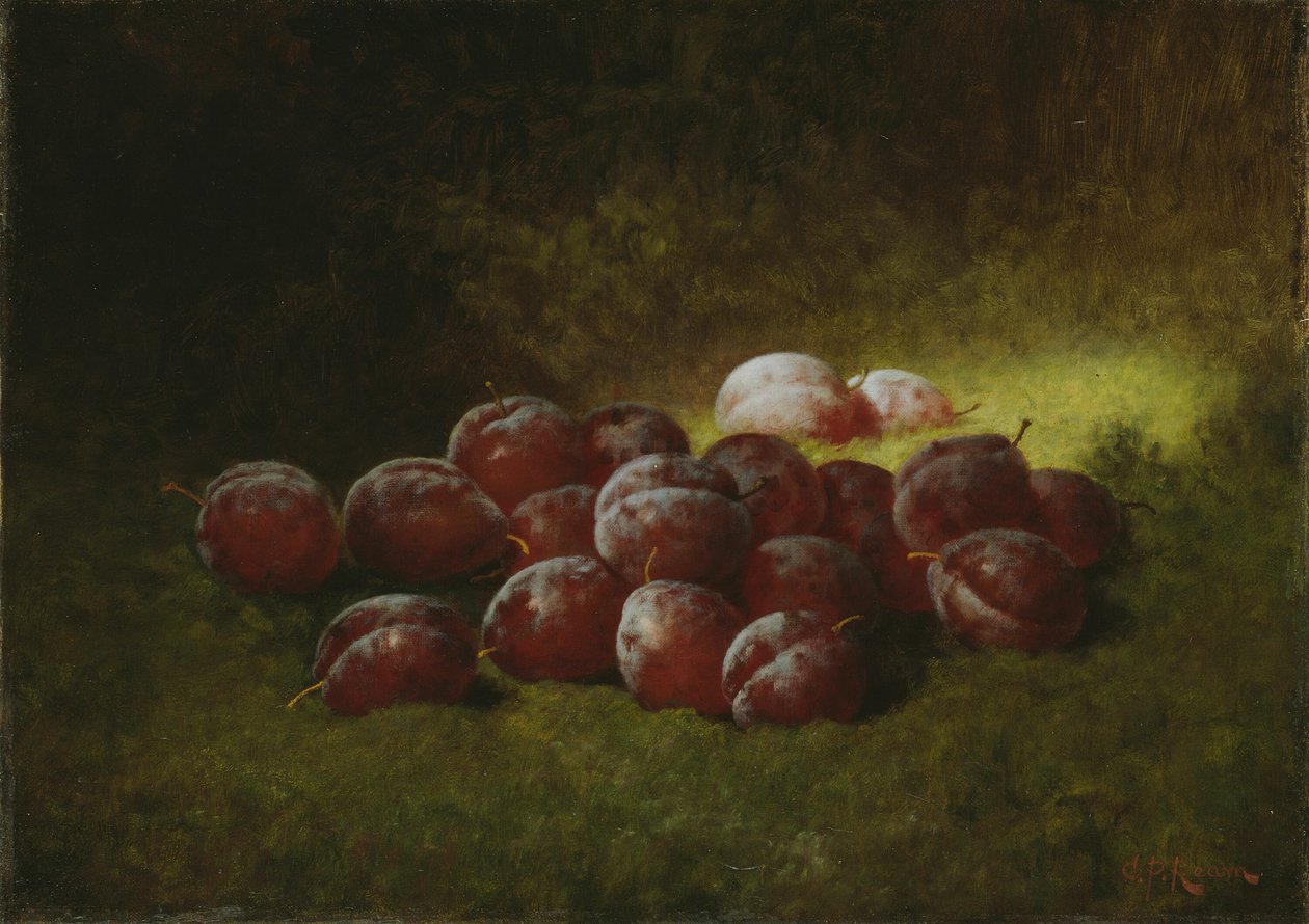 Lila szilva, 1895. alkotó: Carducius Plantagenet Ream