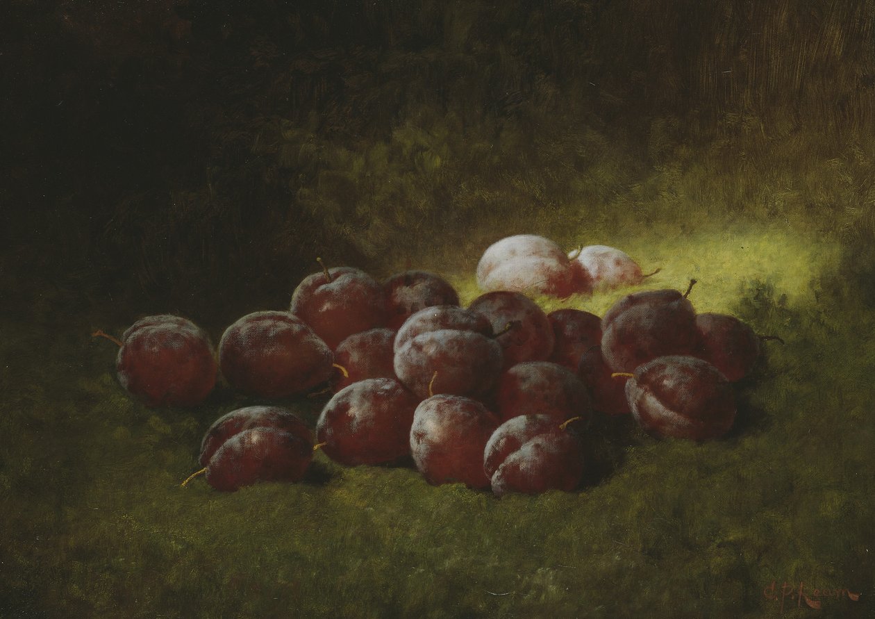 Lila szilva, 1895 alkotó: Carducius Plantagenet Ream