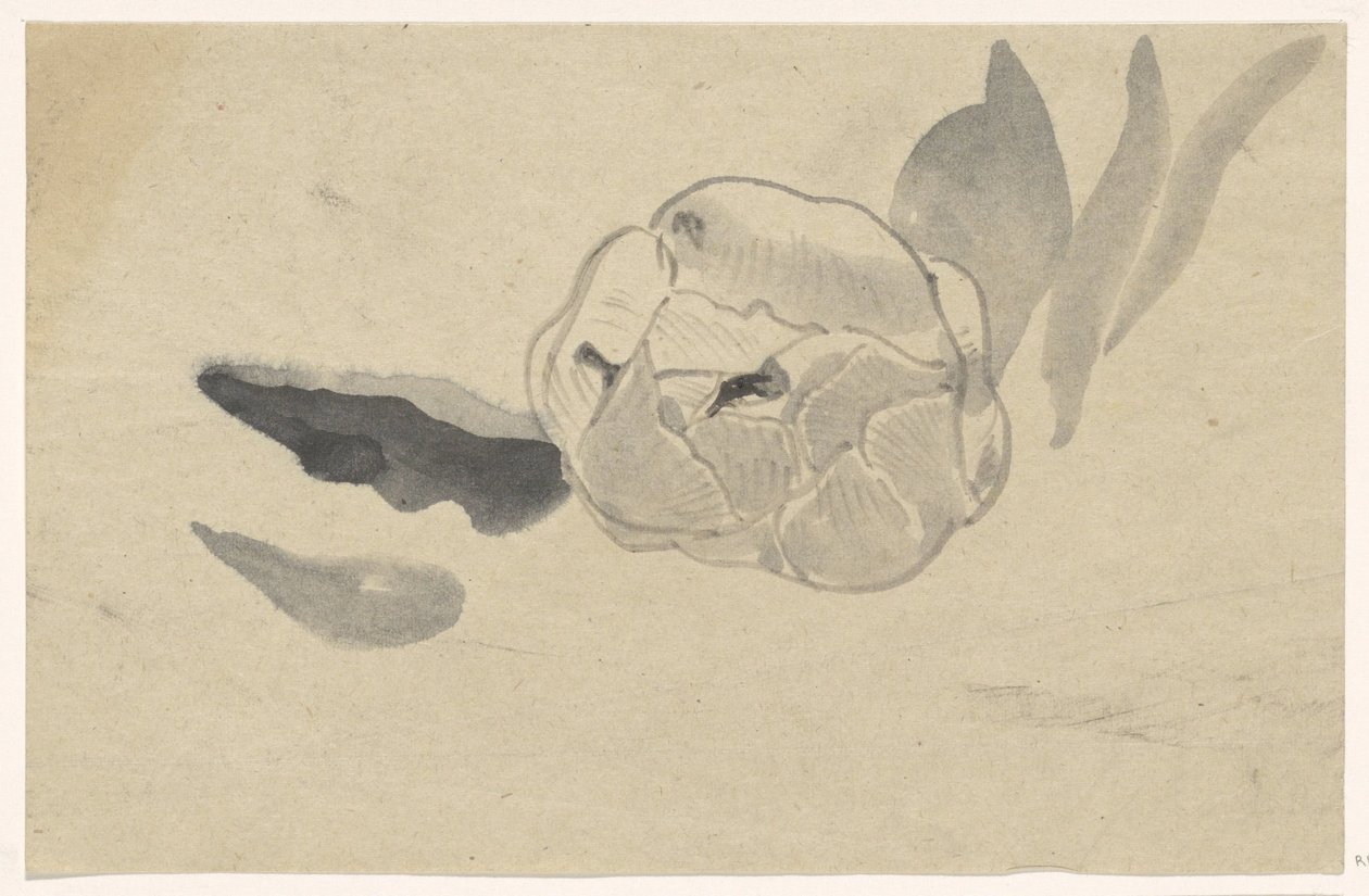 Virágtanulmány alkotó: Carel Adolph Lion Cachet