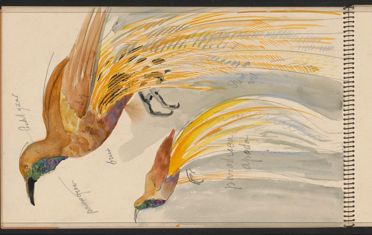 Großer Paradiesvogel alkotó: Carel Adolph Lion Cachet